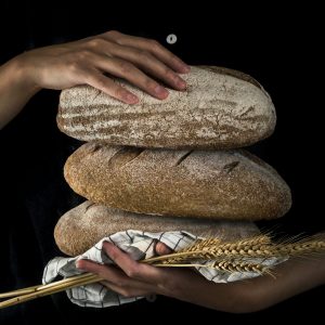 Pane